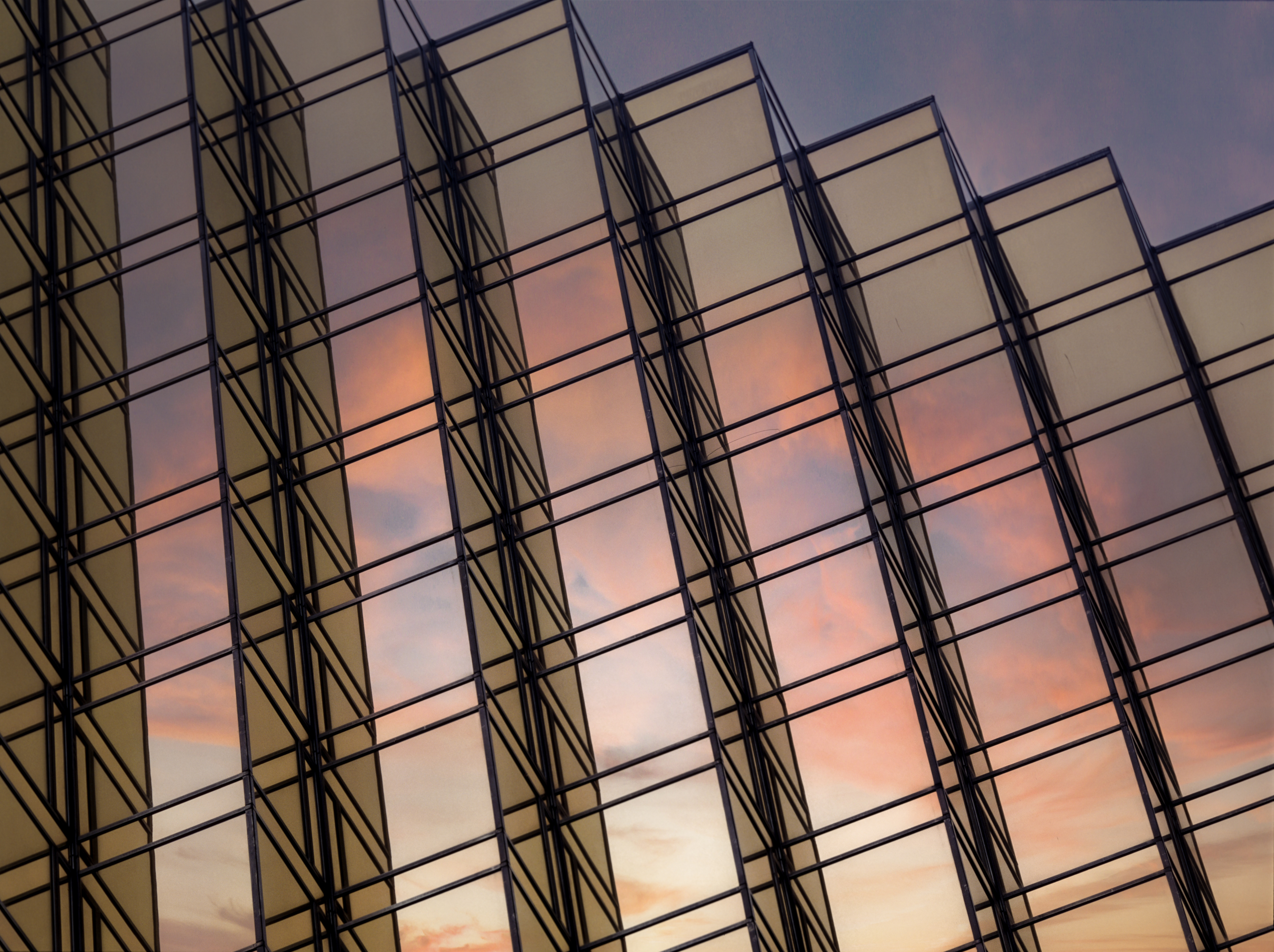 Executive Leadership Strategy offerings