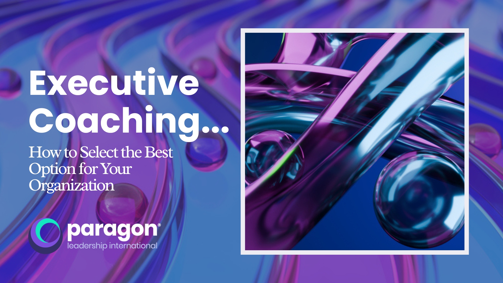 Executive Coaching…How to Select the Best Option for Your Organization